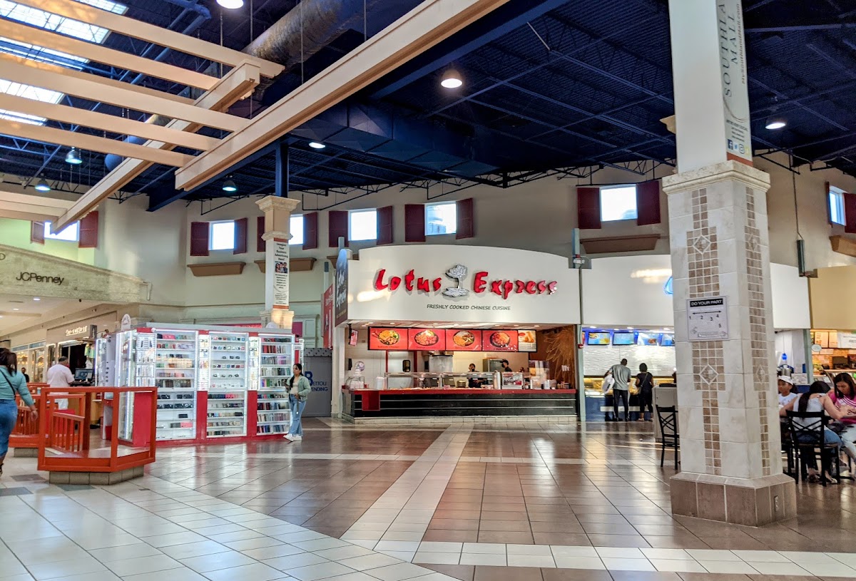 Banner Lotus Express 03